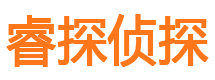 光山调查公司